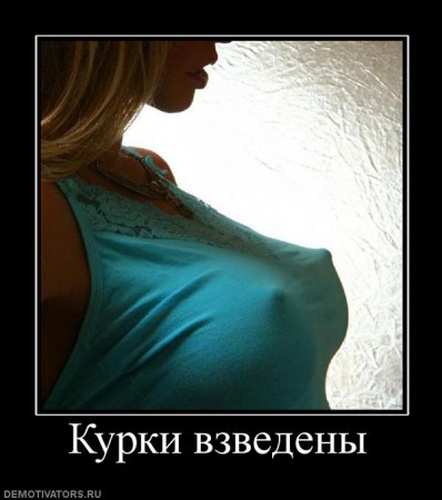 696443_kurki-vzvedenyi