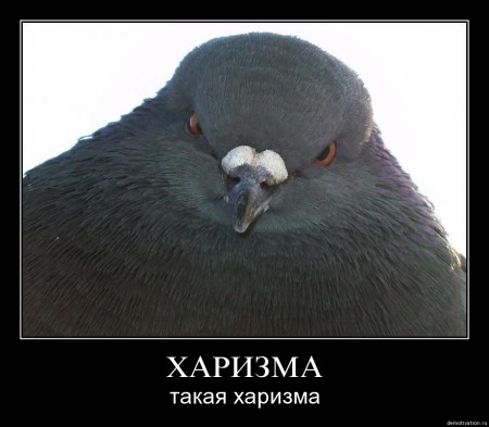 is6q54i1kuyu