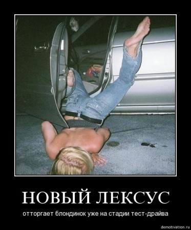 nm7ppk7tdhc2