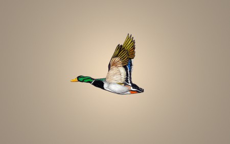 BestHDWallpapersPack1302_57