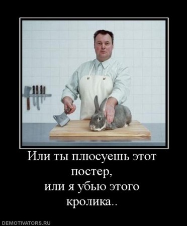 107691_ili-tyi-plyusuesh-etot-poster-ili-ya-ubyu-etogo-krolika