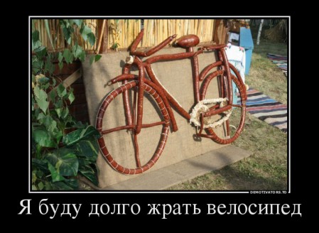 12530892_ya-budu-dolgo-zhrat-velosiped