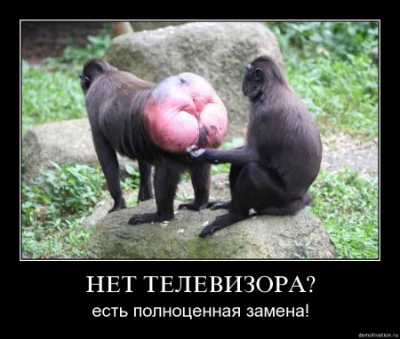 i6quj3bjshq6