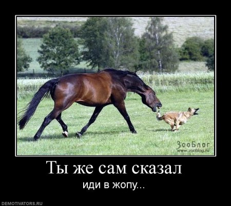 1247748307_464810_tyizhesamskazal