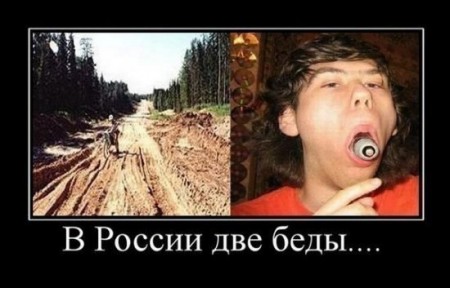 00d131481cf0005aeb295750e47