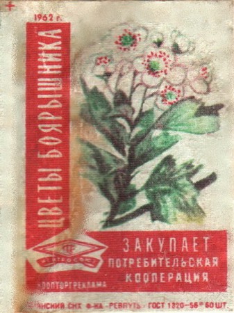 123