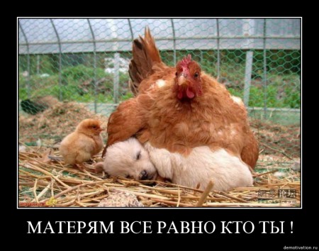 2ui36d65q5sx