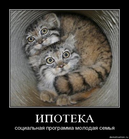 7gu7gra3dwe1