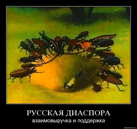 f5lhqi9bglyi