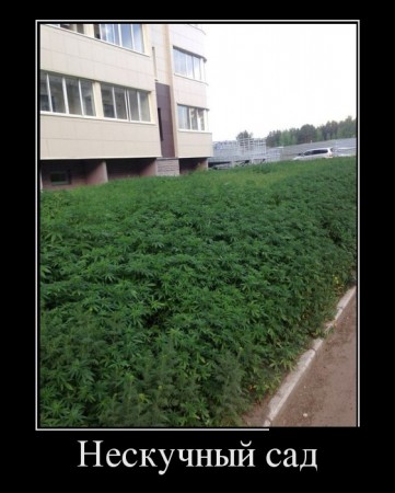podborka_luchshikh_demotivatorov_76_020
