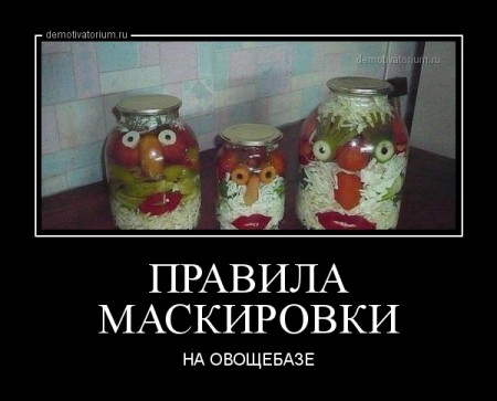 demotivatorium_ru_pravila_maskirovki_48570