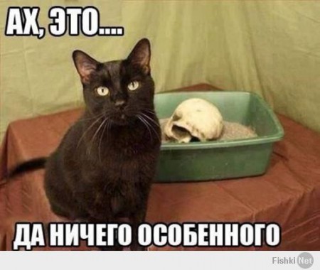 Котэ