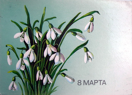 20-88