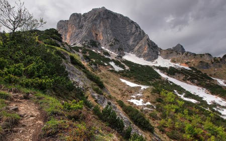 Oboi_s_prekrasnymi_ugolkami_prirody_854_29