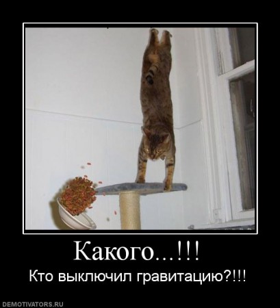 1247748542_679279_kakogo
