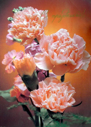 22-85