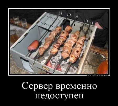 demotivatorium_ru_server_vremenno_nedostupen_41604