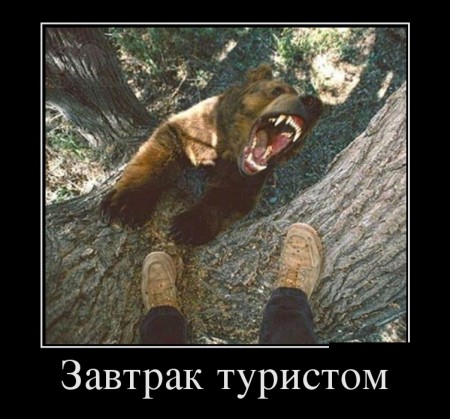 podborka_luchshikh_demotivatorov_76_018
