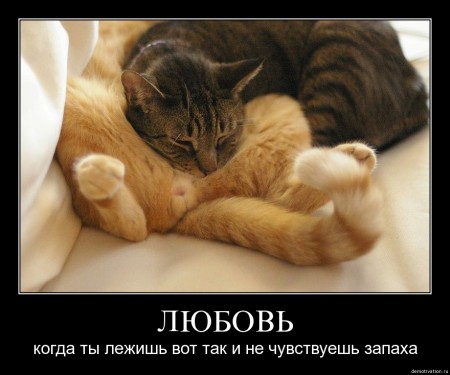 7oszxmv1mt07