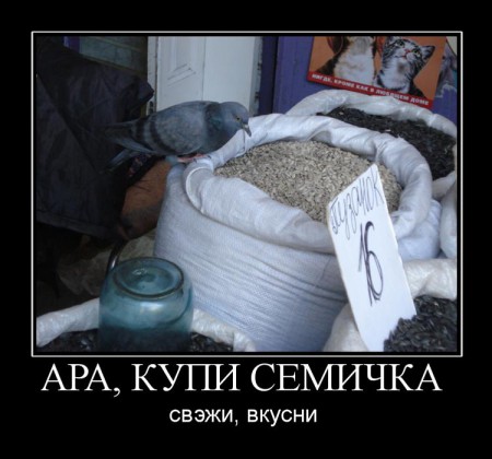 tmptpojfy