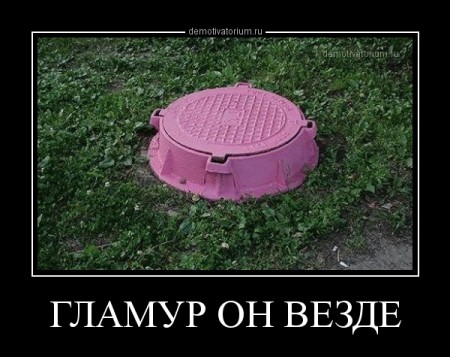 demotivatorium_ru_glamur_on_vezde_46216