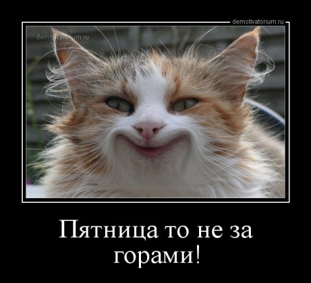 demotivatorium_ru_pjatnica_to_ne_za_gorami_51209
