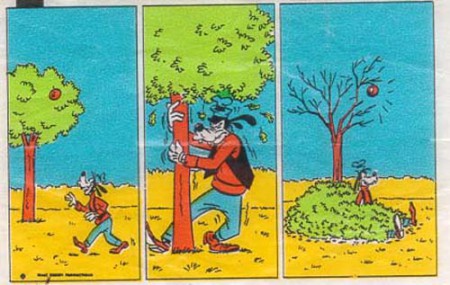 Donald 068