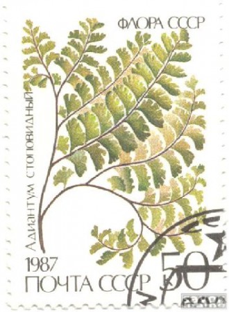 175-2