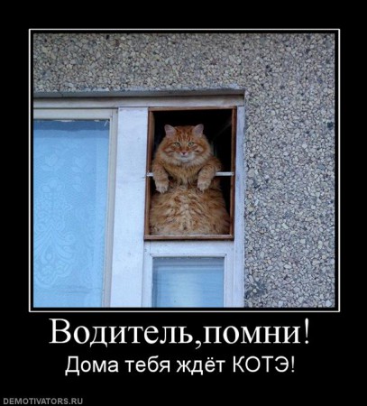 838809_voditelpomni