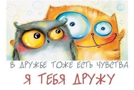 wSfqfqE4y4Y