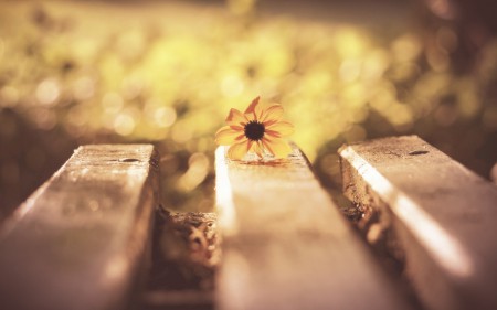 BestHDWallpapersPack1302_88