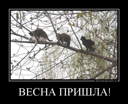 demotivatorium_ru_vesna_prishla_42325