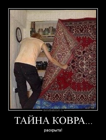 demotivatorium_ru_tajna_kovra_49717