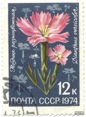 326-2