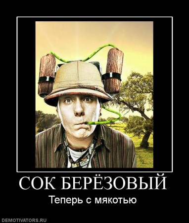 919742_sok-beryozovyij