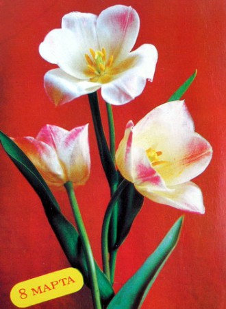 5-134