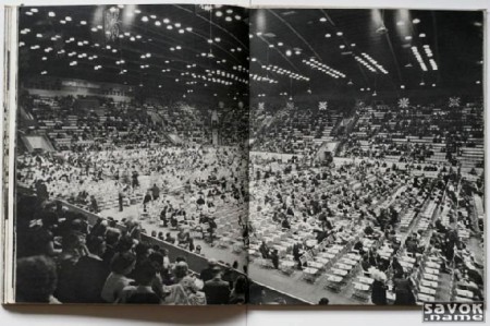 256-4