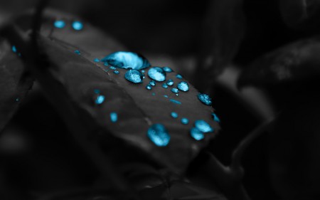 BestHDWallpapersPack1295_140