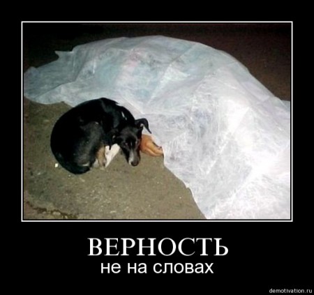 lwpn5i0qypai