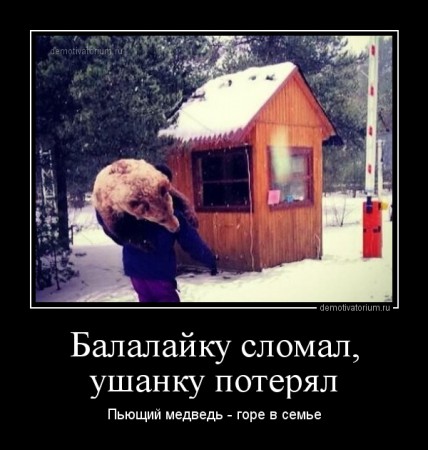 demotivatorium_ru_balalajku_slomal_ushanku_poterjal_40608