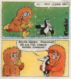 Cin-Cin 080