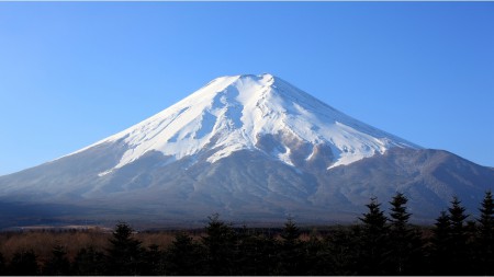 Oboi_s_prekrasnymi_ugolkami_prirody_888_6