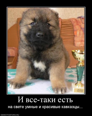 7319_i-vse-taki-est