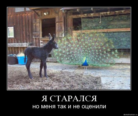 5xy6c7en6ko2