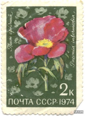 324-1