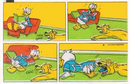 Donald 065
