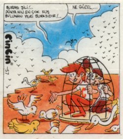 Cin-Cin 057