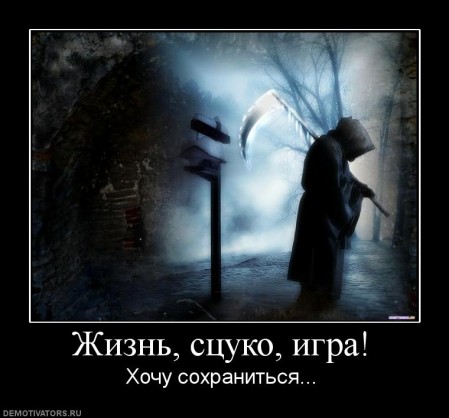 556570_zhizn-stsuko-igra