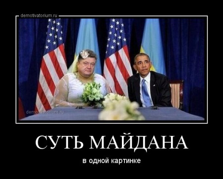 demotivatorium_ru_sut__majdana_49153