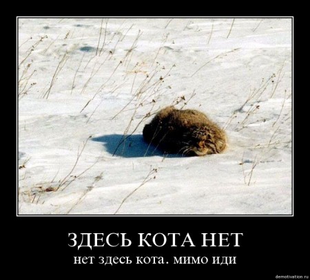 2ts9thm4k7m0